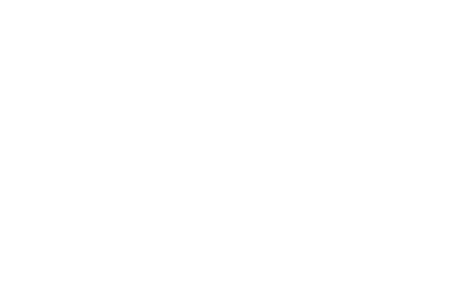 EK BMX Website Partner Brabant Sport White