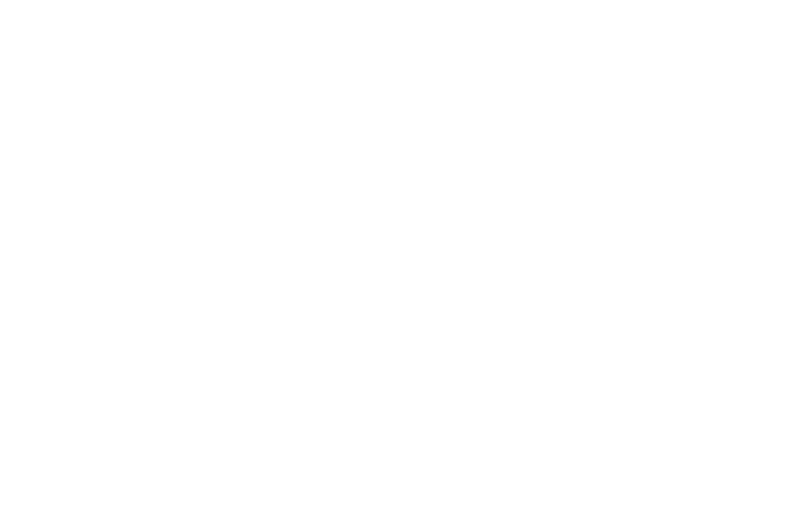 EK BMX Website Partner Libema White